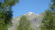 Cima Bianca