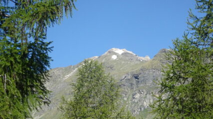 Cima Bianca