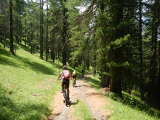 in discesa verso il Lago Laune