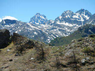 dal Colle gran vista verso il Monviso