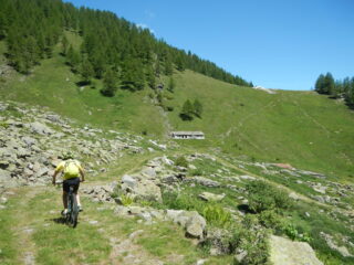 lo sterrato verso il ripiano dell'Alpe la Roussa