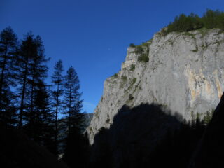 Elogio dell'ombra