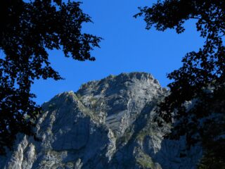 Rocce Bruseis 