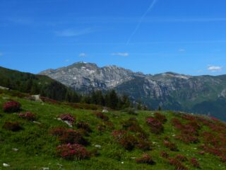 Cima della Fascia