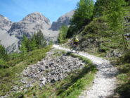 all'uscita dal bosco aumentano i tratti ciclabili