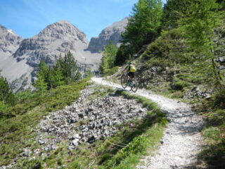 all'uscita dal bosco aumentano i tratti ciclabili