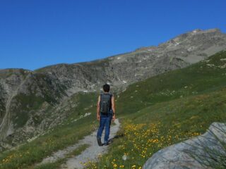 Sulle pendici della Cima Salauta