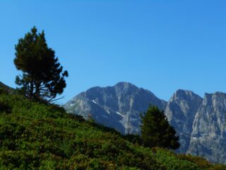In discesa