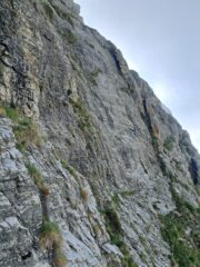 L2 traverso