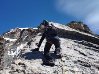 Sulle placche