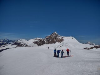 Panorama dalla vetta: da sx Castore, Naso e Lyskamm. In secondo piano, sulla dx il Weisshorn