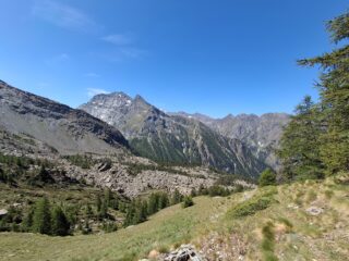 Monte Rafray 