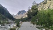  Il tratto stradale nella valle della Restonica non più transitabile con macchine.