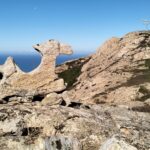 oplus_2