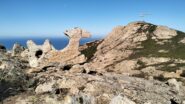 oplus_2