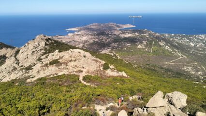 oplus_2