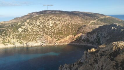 oplus_2