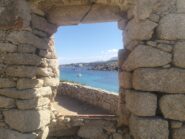 oplus_2