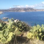 oplus_2048