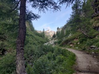 Verso il rifugio 