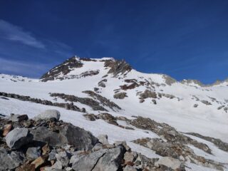 Arbola in vista 