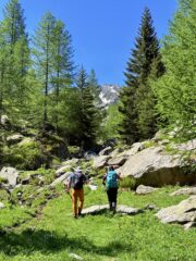 Nel vallone di Tesina