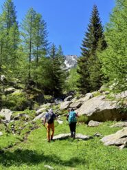 Nel vallone di Tesina