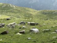 I massi-lapide dei Bantse, e ormai mon amé lo chamois