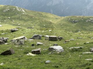 I massi-lapide dei Bantse, e ormai mon amé lo chamois