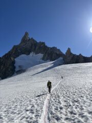 Verso la gengiva