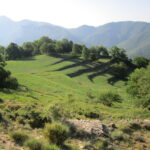 Prati a Stalle Calvetto