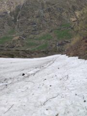 Dal Tracciolino, discesa nel canale  del Rio Peraciaval