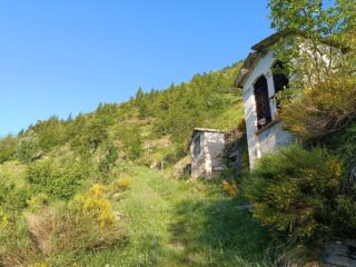 La mula per il Passo Tanarello presso le Cappellette 