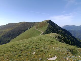 Salita verso il Monte Saccarello 