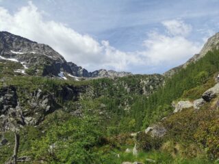 Alto vallone Lasin verso sotto al lago