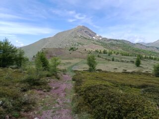 Discesa verso Colla Rossa 