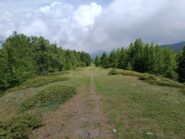 Discesa verso Pian del Manzo 