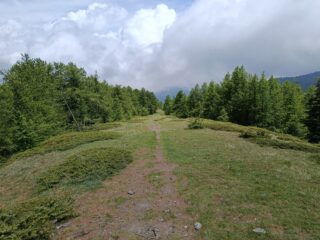 Discesa verso Pian del Manzo 