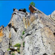 Oplus_16908288