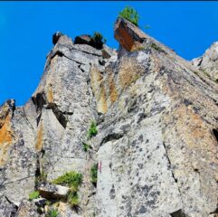 Oplus_16908288