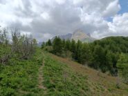 Verso il Colle Terziere 