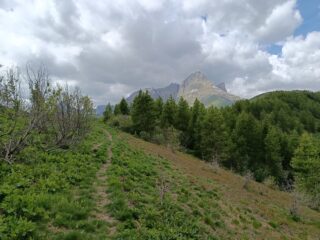 Verso il Colle Terziere 