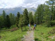 Discesa ad anello dal Colle Bicocca 