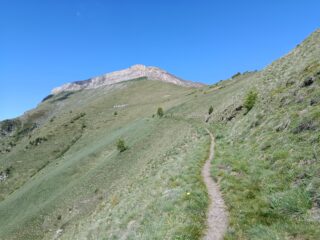 Verso il Monte Pietralunga 