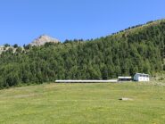 Alpe chamole' 