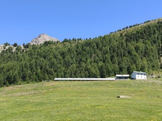 Alpe chamole' 
