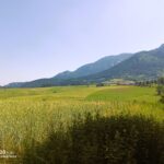 Nei pressi di Lans, verso St-Nizier.