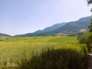 Nei pressi di Lans, verso St-Nizier.