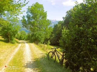 Sulla bella strada bianca che da Lans risale alla Croix Perrin.