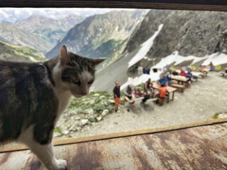 Il tenero gestore del rifugio